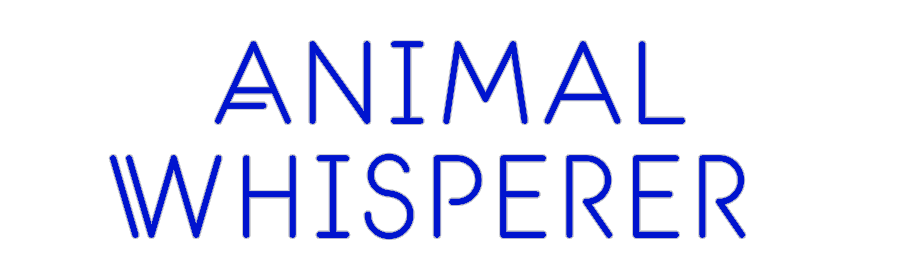 Custom Neon: Animal
Whisp...