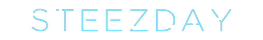 Custom Neon: STEEZDAY