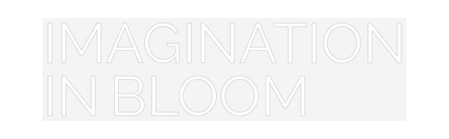 Custom Neon: IMAGINATION
...