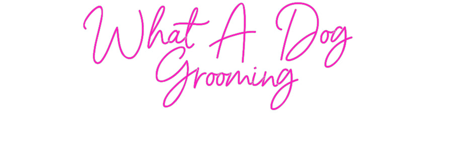 Custom Neon: What A Dog
...