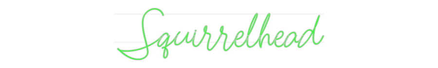 Custom Neon: Squirrelhead