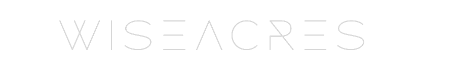 Custom Neon: WiseAcres