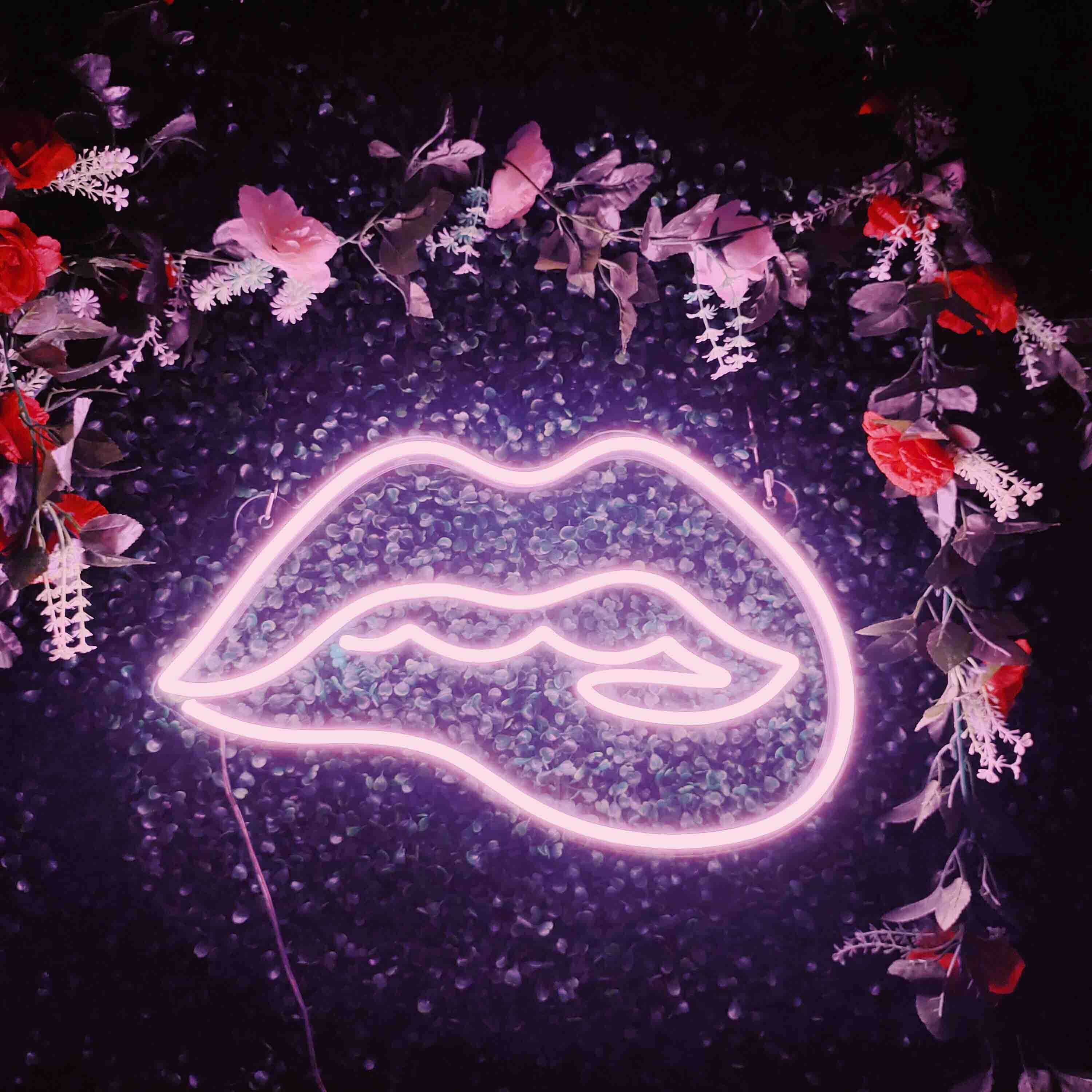 Biting Lips Neon Signs