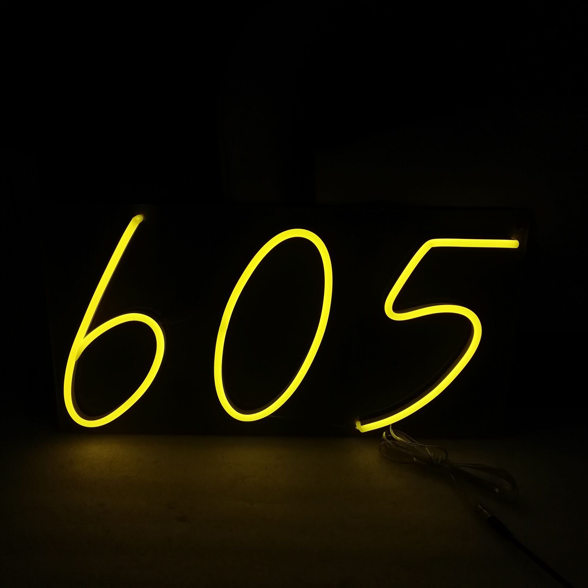 605 Number Neon Signs