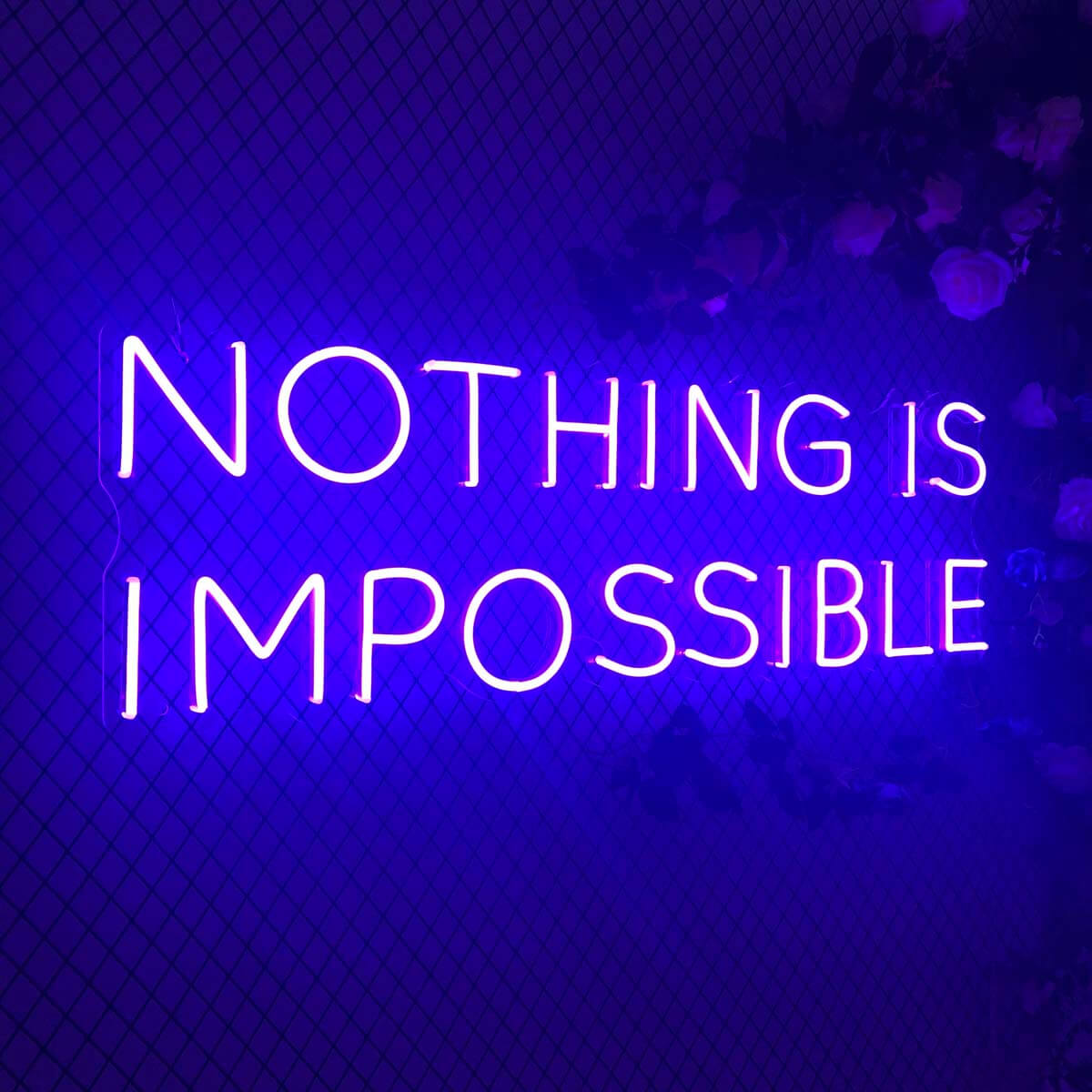 NOTHING IS IMPOSSIBLE Neon Signs